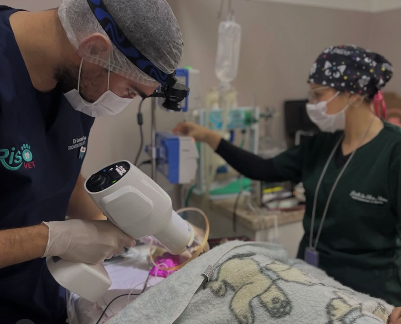 Paciente da Vex Veterinária 12